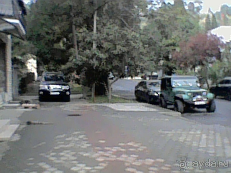 Дикарские привычки абхазских аборигенов. Сухум осень 2017.