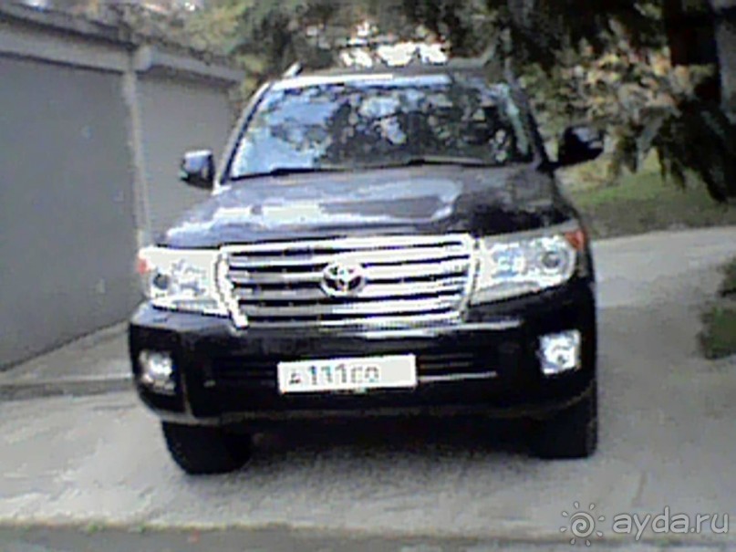 Дикарские привычки абхазских аборигенов. Сухум осень 2017.