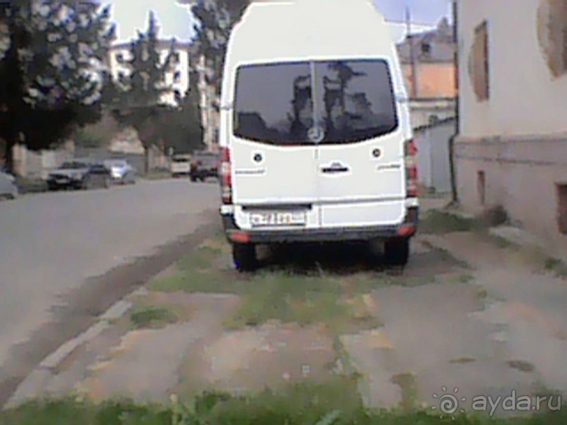 Дикарские привычки абхазских аборигенов. Сухум осень 2017.