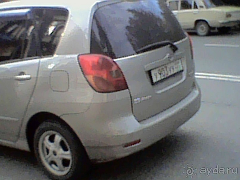 Дикарские привычки абхазских аборигенов. Сухум осень 2017.