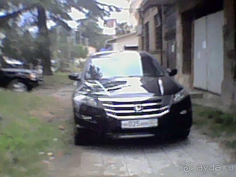 Дикарские привычки абхазских аборигенов. Сухум осень 2017.