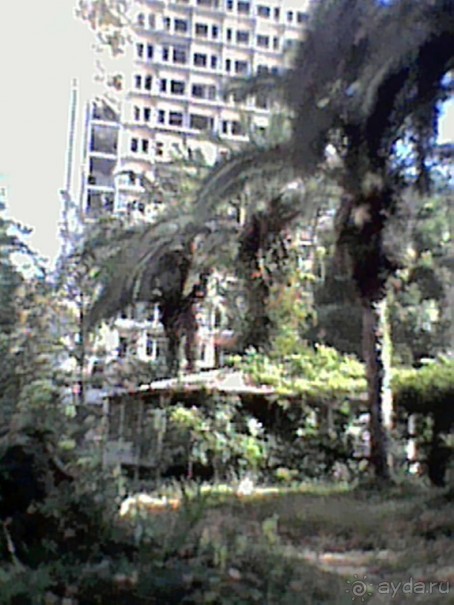 Абхазия. Сухум 2016. РАЗРУХА и ОСТОРОЖНО!!! Они ТУПЫ-Ы-Ы-ЫЕ!