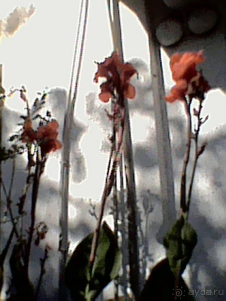 Абхазия. Сухум 2016. РАЗРУХА и ОСТОРОЖНО!!! Они ТУПЫ-Ы-Ы-ЫЕ!