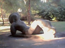 Осень в Пицунде 2017. Негостеприимная Апсны или страна их протухшей души.