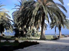 Осень в Пицунде 2017. Негостеприимная Апсны или страна их протухшей души.