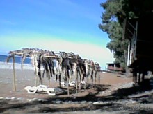 Осень в Пицунде 2017. Негостеприимная Апсны или страна их протухшей души.