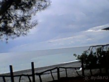 Осень в Пицунде 2017. Негостеприимная Апсны или страна их протухшей души.