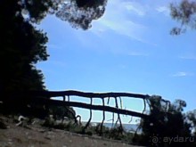 Осень в Пицунде 2017. Негостеприимная Апсны или страна их протухшей души.