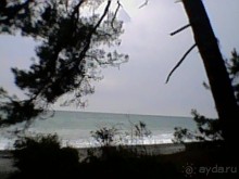 Осень в Пицунде 2017. Негостеприимная Апсны или страна их протухшей души.