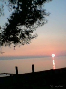 Альбом отзыва "Осень в Пицунде 2017. Негостеприимная Апсны или страна их протухшей души."