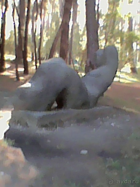 Осень в Пицунде 2017. Негостеприимная Апсны или страна их протухшей души.