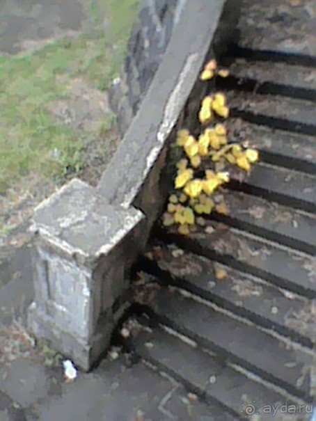 Альбом отзыва "Сухум гора 17г или унылые останки былой роскоши прежде цветущей столицы Абхазии."