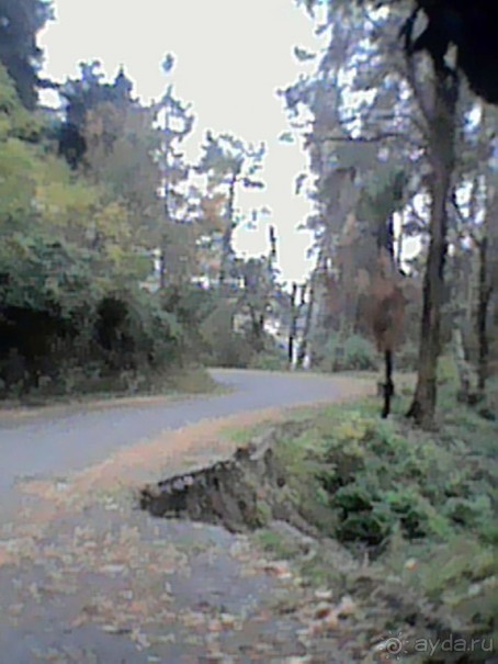 Альбом отзыва "Сухум гора 17г или унылые останки былой роскоши прежде цветущей столицы Абхазии."