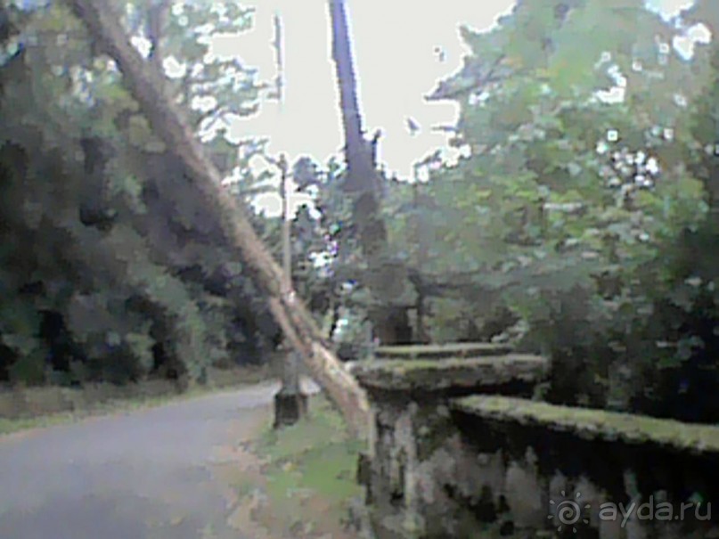 Альбом отзыва "Сухум гора 17г или унылые останки былой роскоши прежде цветущей столицы Абхазии."