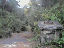 Альбом отзыва "Сухум гора 17г или унылые останки былой роскоши прежде цветущей столицы Абхазии."