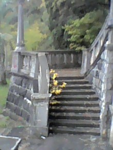 Альбом отзыва "Сухум гора 17г или унылые останки былой роскоши прежде цветущей столицы Абхазии."