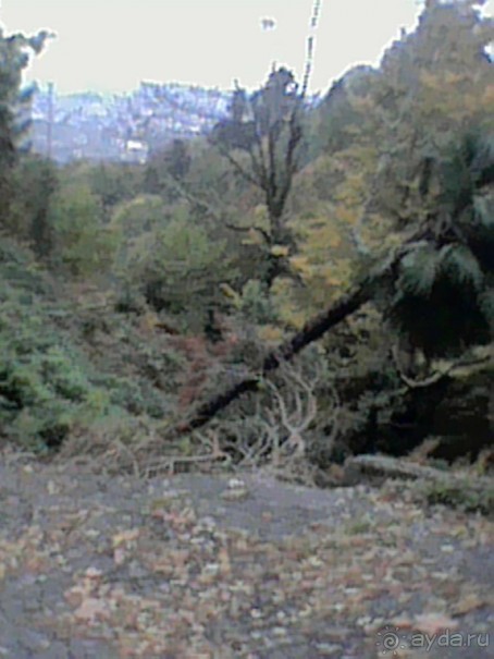 Сухум гора 17г или унылые останки былой роскоши прежде цветущей столицы Абхазии.