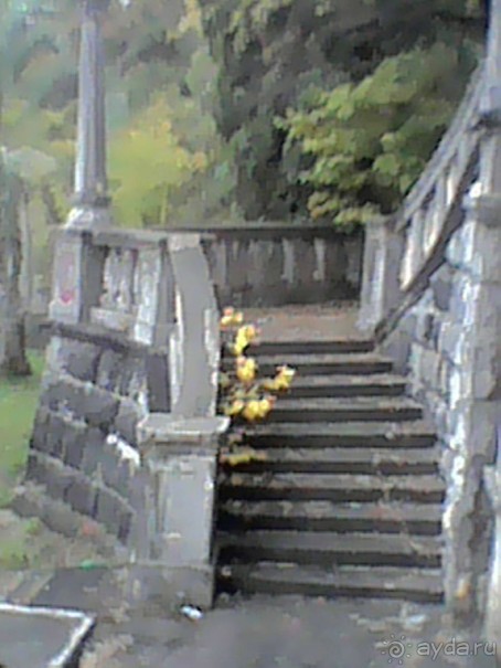 Сухум гора 17г или унылые останки былой роскоши прежде цветущей столицы Абхазии.