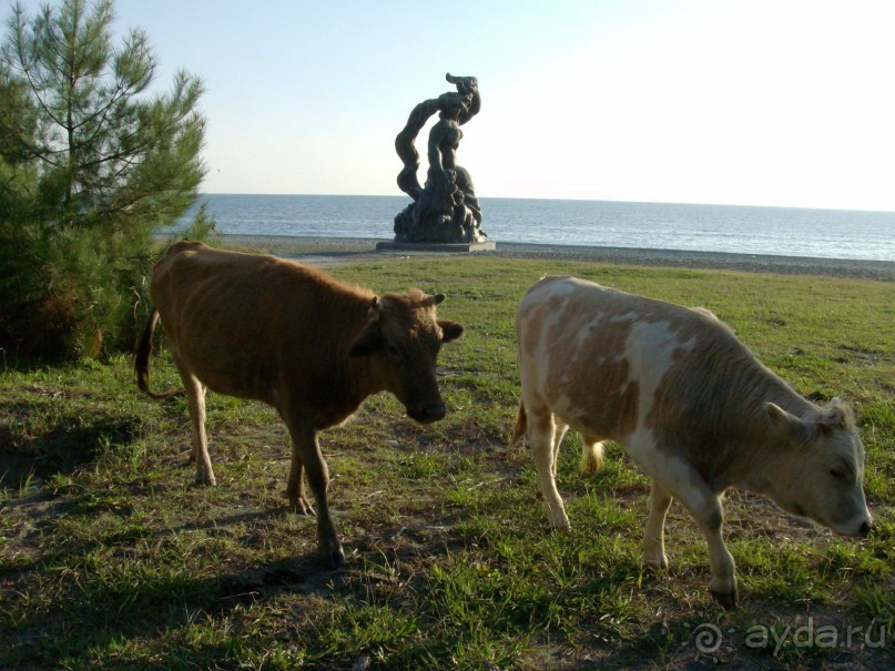 Сухум, Гагра, Пицунда.НАШИ ДНИ.