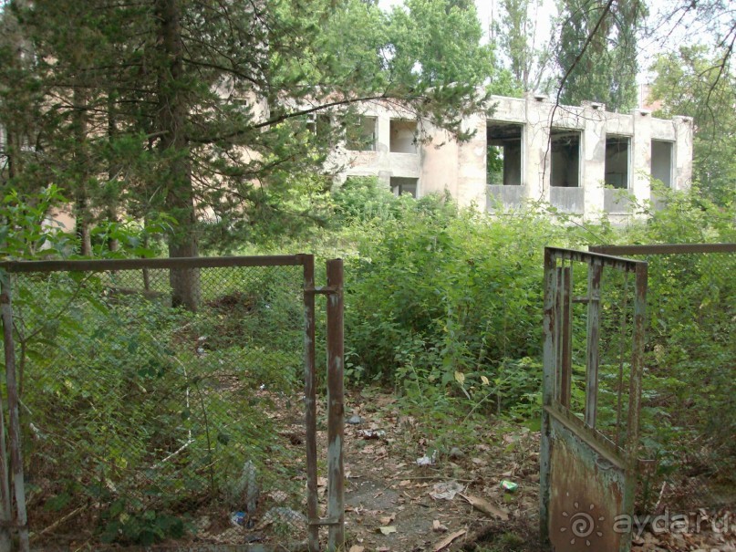 Сухум, Гагра, Пицунда.НАШИ ДНИ.