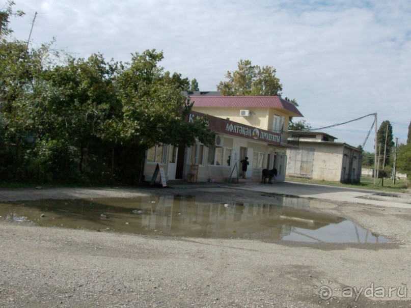 Сухум, Гагра, Пицунда.НАШИ ДНИ.