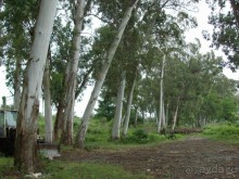 Новый Афон 2014 весьма ПОСРЕДСТВЕННЫЙ курорт. 