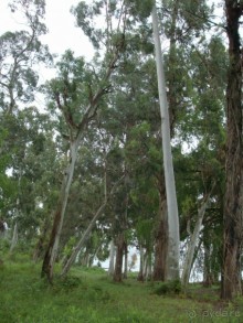 Новый Афон 2014 весьма ПОСРЕДСТВЕННЫЙ курорт. 