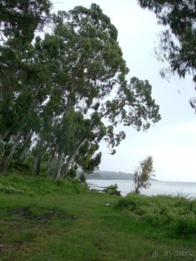 Новый Афон 2014 весьма ПОСРЕДСТВЕННЫЙ курорт. 