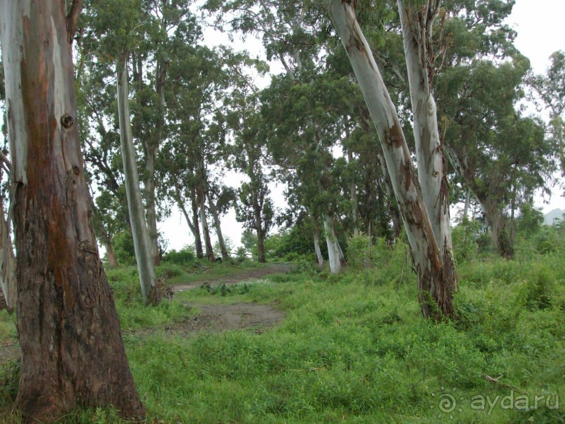 Новый Афон 2014 весьма ПОСРЕДСТВЕННЫЙ курорт. 