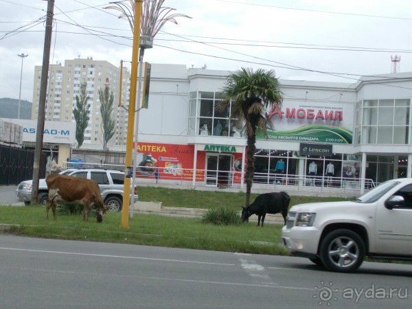 Новый Афон 2014 весьма ПОСРЕДСТВЕННЫЙ курорт. 