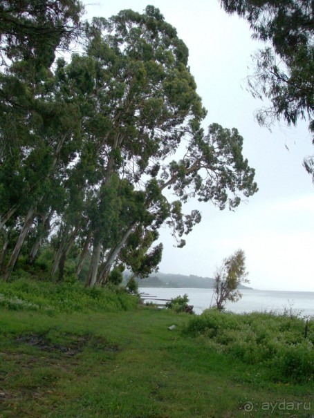 Новый Афон 2014 весьма ПОСРЕДСТВЕННЫЙ курорт. 