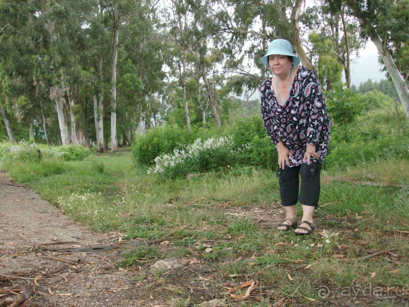 Новый Афон 2014 весьма ПОСРЕДСТВЕННЫЙ курорт. 