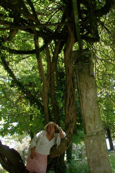 Новый Афон 2014 весьма ПОСРЕДСТВЕННЫЙ курорт. 