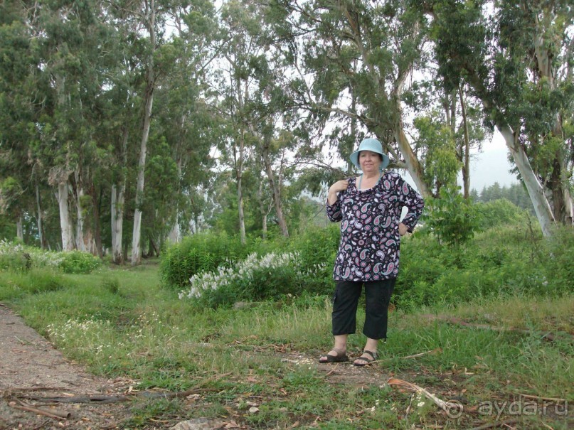 Новый Афон 2014 весьма ПОСРЕДСТВЕННЫЙ курорт. 