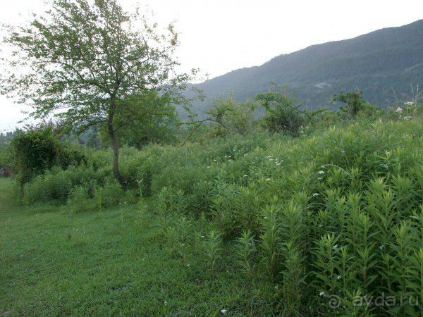 Новый Афон 2014 весьма ПОСРЕДСТВЕННЫЙ курорт. 