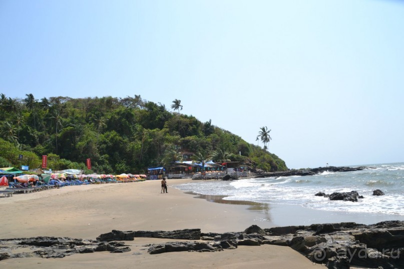 Отдых в ГОА- полезная информация!)