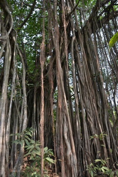 Отдых в ГОА- полезная информация!)