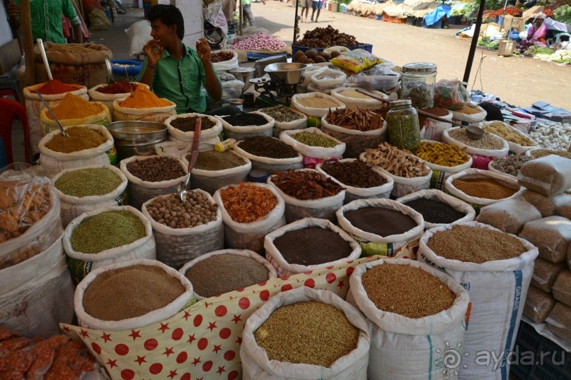 Отдых в ГОА- полезная информация!)