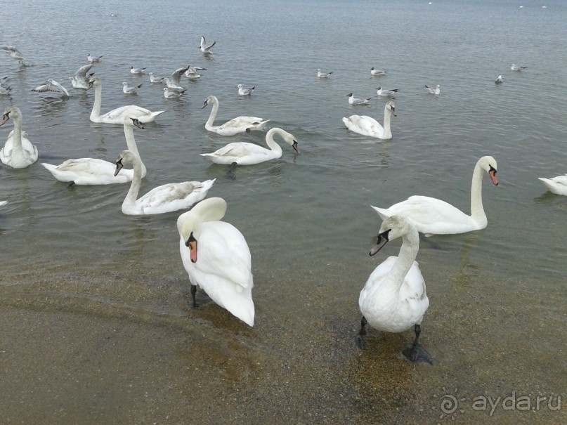 Отдых для выздоровления