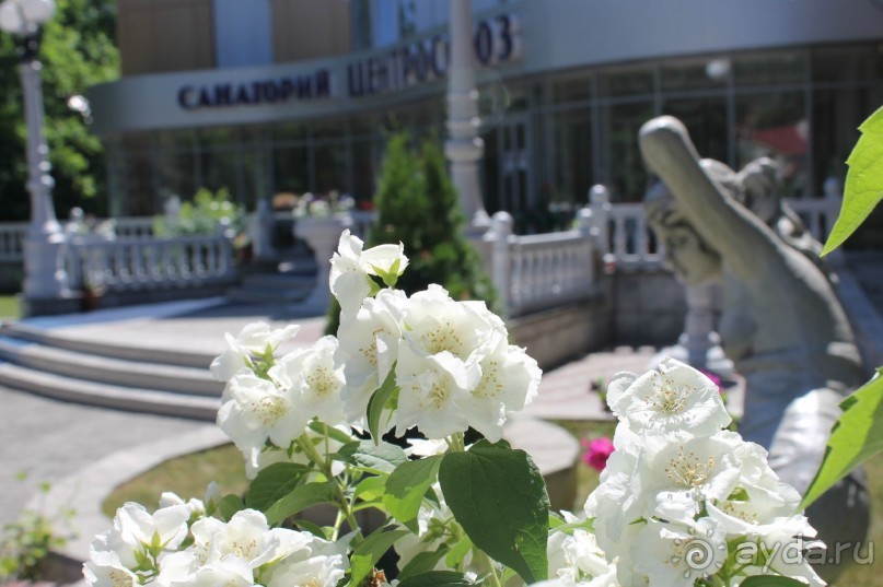 Центросоюз Белокуриха