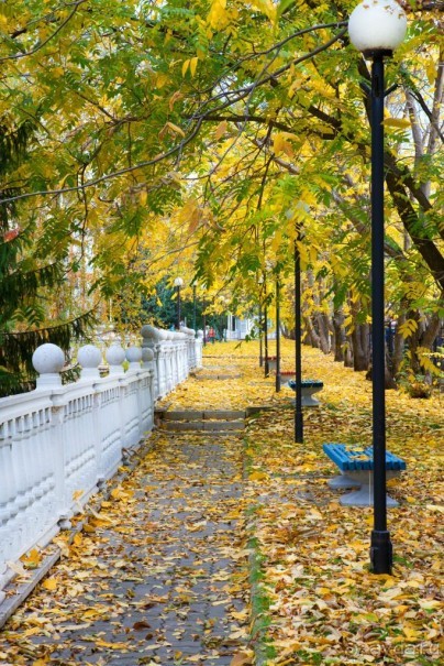 Центросоюз Белокуриха