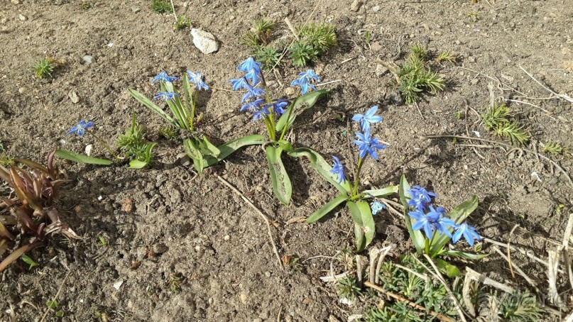 Исключительно доброе и отзывчивое отношение персонала в частном отеле "Флёр"