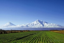 Альбом отзыва "Библейский тур в Армении"