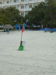 Куба я тебя люблю.