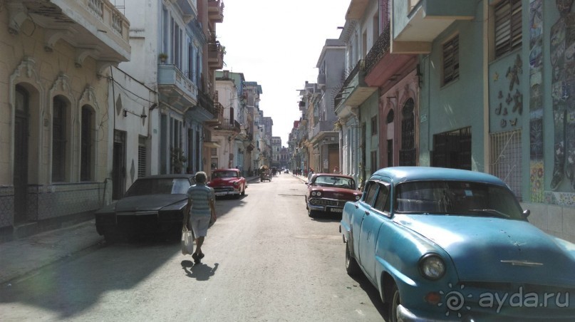 Куба я тебя люблю.