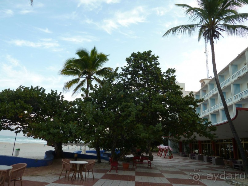 Куба я тебя люблю.