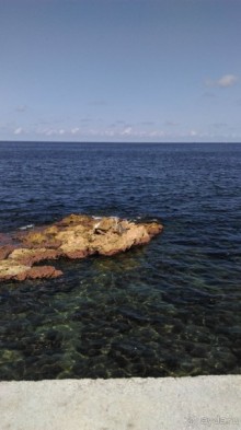 Куба я тебя люблю.