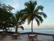 Куба я тебя люблю.