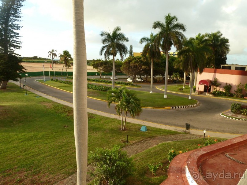 Куба я тебя люблю.