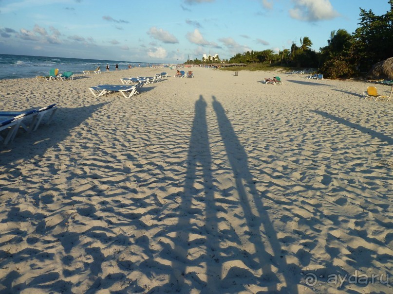 Куба я тебя люблю.